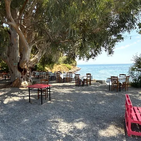 Dimitris 2 * Καμάρες
